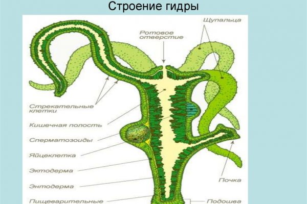 Кракен кз