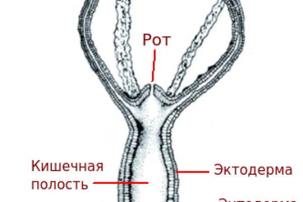 Регистрация на кракен