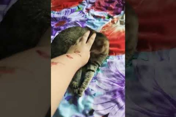 Войти на кракен